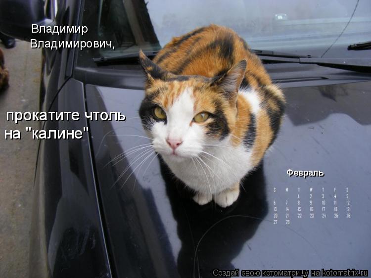 Февраль Владимир Владимирович, прокатите чтоль на "калине"... Котоматрица: Февраль Владимир Владимирович, прокатите чтоль на "калине"