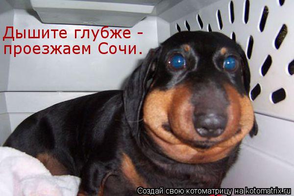 проезжаем Сочи. Дышите глубже -... Котоматрица: проезжаем Сочи. Дышите глубже -