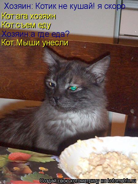 Хозяин: Котик не кушай! я скоро Кот:ага хозяин Кот:съем еду Хозяин:а где еда? Кот:Мыши унесли... Котоматрица: Хозяин: Котик не кушай! я скоро Кот:ага хозяин Кот:съем еду Хозяин:а где еда? Кот:Мыши унесли