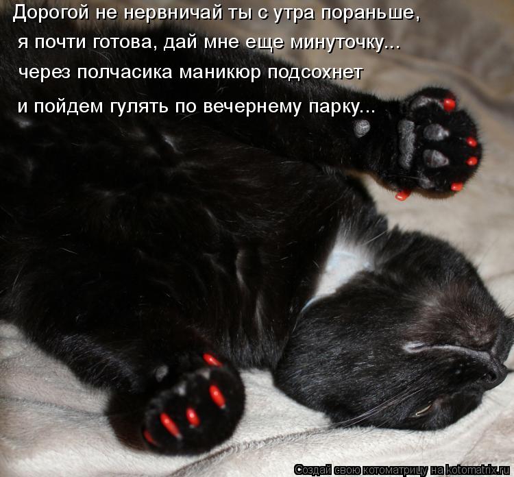 Дорогой не нервничай ты с утра пораньше, я почти готова, дай мне еще минуточку... через полчасика ма... Котоматрица: Дорогой не нервничай ты с утра пораньше, я почти готова, дай мне еще минуточку... через полчасика маникюр подсохнет и пойдем гулять по вечер