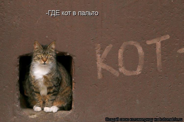 -ГДЕ кот в пальто... Котоматрица: -ГДЕ кот в пальто