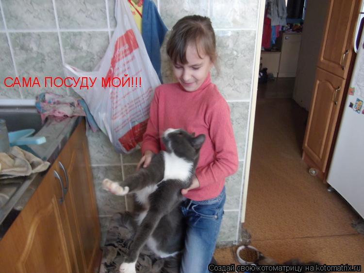САМА ПОСУДУ МОЙ!!!... Котоматрица: САМА ПОСУДУ МОЙ!!!