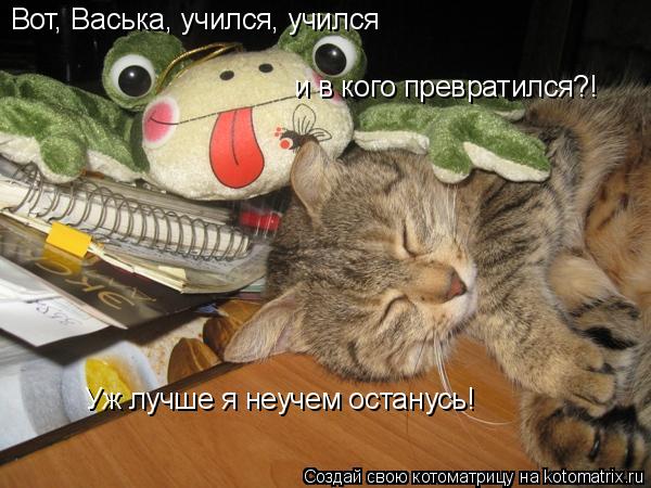 Вот, Васька, учился, учился и в кого превратился?! Уж лучше я неучем останусь!... Котоматрица: Вот, Васька, учился, учился и в кого превратился?! Уж лучше я неучем останусь!