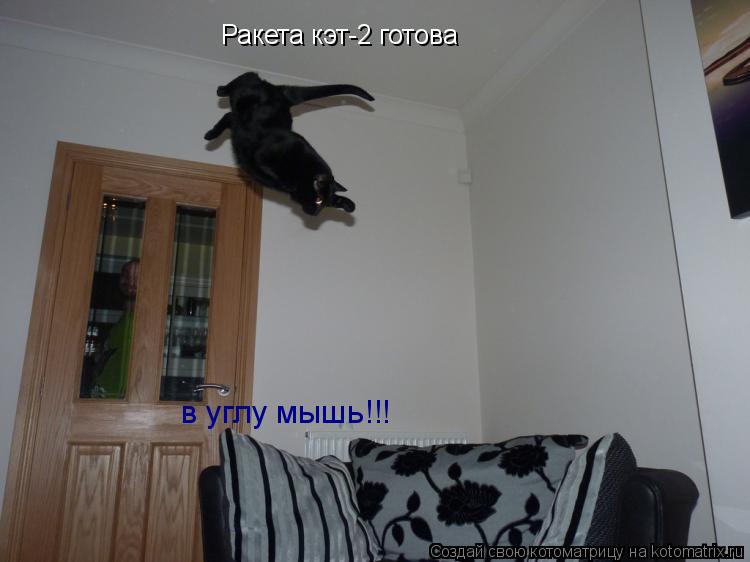 Ракета кэт-2 готова в углу мышь!!!... Котоматрица: Ракета кэт-2 готова в углу мышь!!!
