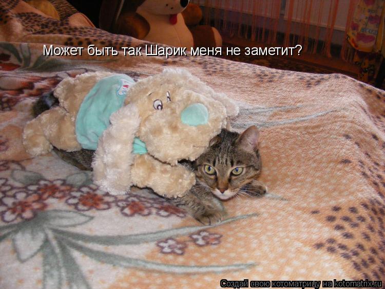 Может быть так Шарик меня не заметит?... Котоматрица: Может быть так Шарик меня не заметит?