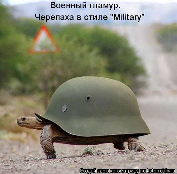 Военный гламур. Черепаха в стиле "Military"... Котоматрица: Военный гламур. Черепаха в стиле "Military"