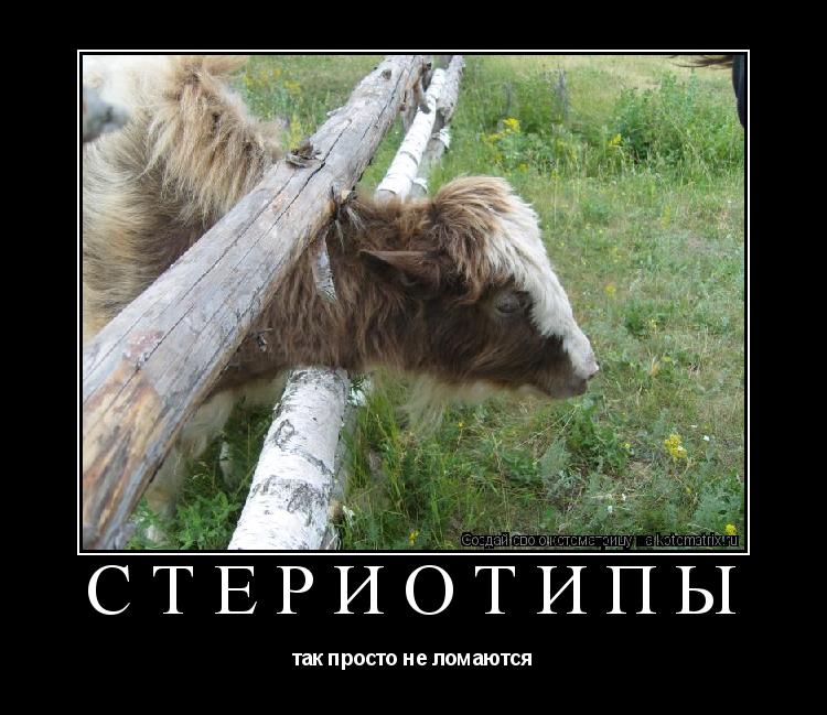 стериотипы так просто не ломаются... Котоматрица: стериотипы так просто не ломаются