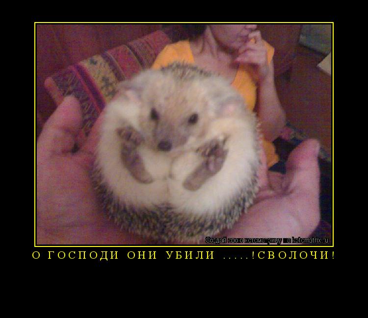 ... Котоматрица:
