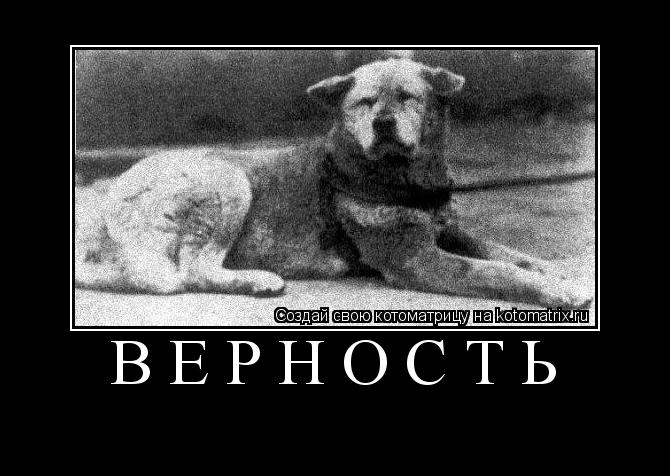ВЕРНОСТЬ ... Котоматрица: ВЕРНОСТЬ