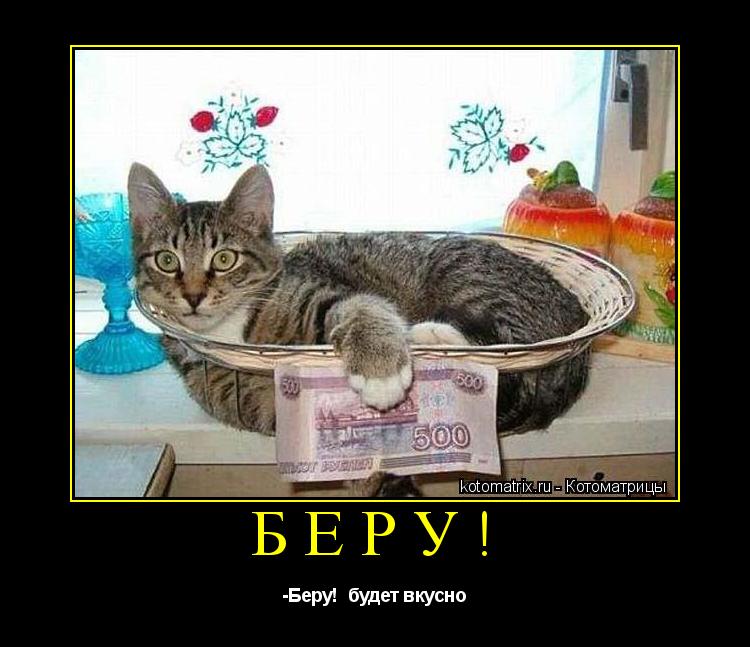 Беру! -Беру! будет вкусно... Котоматрица: Беру! -Беру! будет вкусно