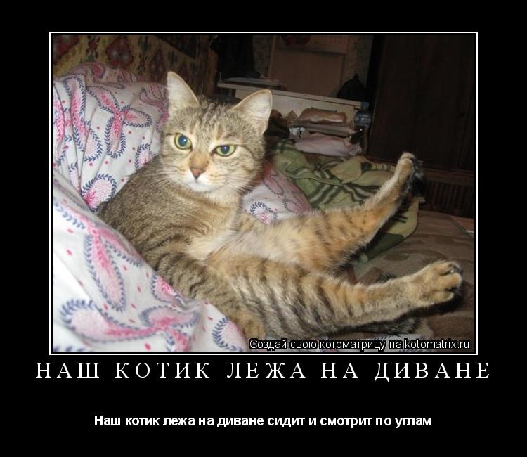 наш котик лежа на диване Наш котик лежа на диване сидит и смотрит по углам... Котоматрица: наш котик лежа на диване Наш котик лежа на диване сидит и смотрит по углам