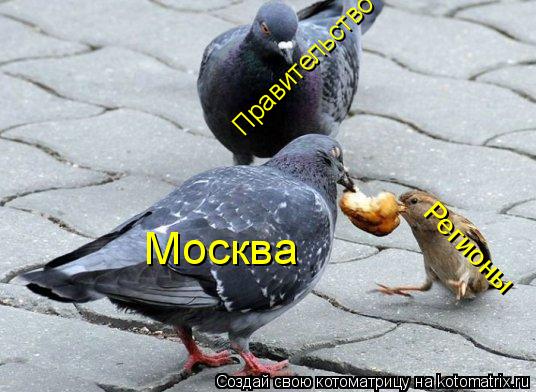 Москва Регионы Правительство... Котоматрица: Москва Регионы Правительство