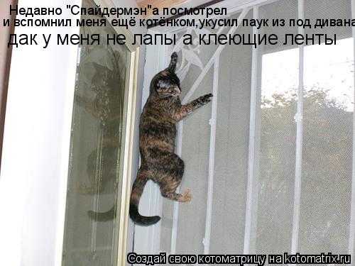 Недавно "Спайдермэн"а посмотрел и вспомнил меня ещё котёнком,укусил паук из под дивана дак у меня не ... Котоматрица: Недавно "Спайдермэн"а посмотрел и вспомнил меня ещё котёнком,укусил паук из под дивана дак у меня не лапы а клеющие ленты