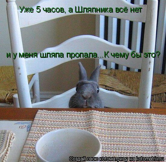Уже 5 часов, а Шляпника всё нет и у меня шляпа пропала...К чему бы это?... Котоматрица: Уже 5 часов, а Шляпника всё нет и у меня шляпа пропала...К чему бы это?