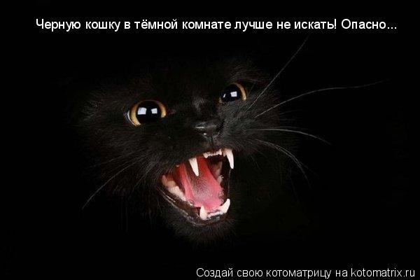Черную кошку в тёмной комнате лучше не искать! Опасно...... Котоматрица: Черную кошку в тёмной комнате лучше не искать! Опасно...