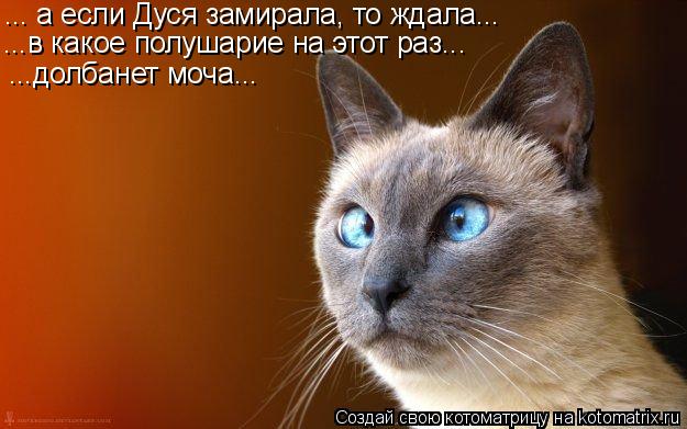 ... а если Дуся замирала, то ждала... ...в какое полушарие на этот раз... ...долбанет моча...... Котоматрица: ... а если Дуся замирала, то ждала... ...в какое полушарие на этот раз... ...долбанет моча...
