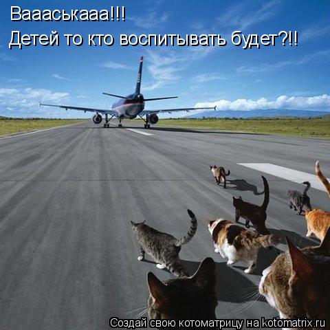 Котоматрица: Ваааськааа!!! Детей то кто воспитывать будет?!!