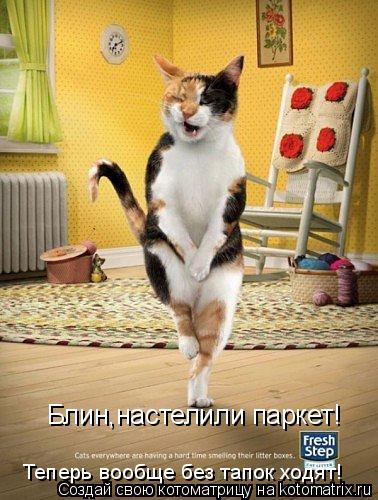 Блин,настелили паркет! Теперь вообще без тапок ходят!... Котоматрица: Блин,настелили паркет! Теперь вообще без тапок ходят!