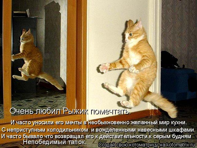 Очень любил Рыжик помечтать. И часто уносили его мечты в необыкновенно желанный мир кухни. С непристу... Котоматрица: Очень любил Рыжик помечтать. И часто уносили его мечты в необыкновенно желанный мир кухни. С неприступным холодильником и вожделенными на