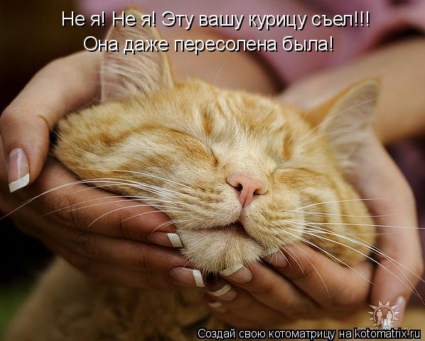 Не я! Не я! Эту вашу курицу съел!!! Она даже пересолена была!... Котоматрица: Не я! Не я! Эту вашу курицу съел!!! Она даже пересолена была!