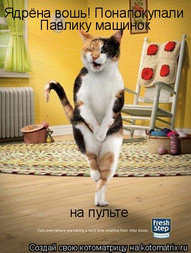 Ядрёна вошь! Понапокупали Павлику машинок на пульте... Котоматрица: Ядрёна вошь! Понапокупали Павлику машинок на пульте