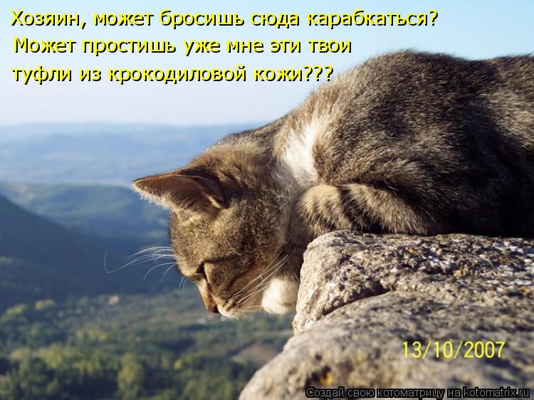 Хозяин, может бросишь сюда карабкаться? Может простишь уже мне эти твои туфли из крокодиловой кожи???... Котоматрица: Хозяин, может бросишь сюда карабкаться? Может простишь уже мне эти твои туфли из крокодиловой кожи???
