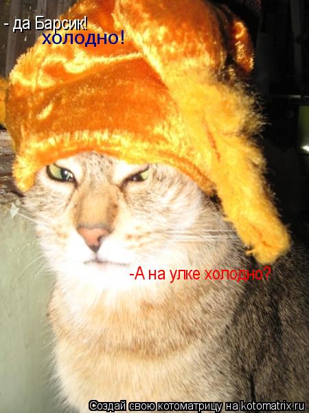 -А на улке холодно? - да Барсик! холодно!... Котоматрица: -А на улке холодно? - да Барсик! холодно!