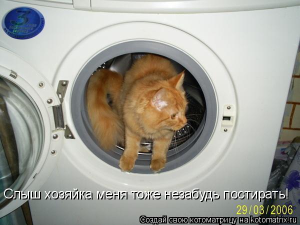 Слыш хозяйка меня тоже незабудь постирать!... Котоматрица: Слыш хозяйка меня тоже незабудь постирать!