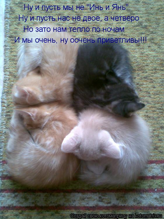Ну и пусть нас не двое, а четверо И мы очень, ну оочень приветливы!!! Ну и пусть мы не "Инь и Янь" Но... Котоматрица: Ну и пусть нас не двое, а четверо И мы очень, ну оочень приветливы!!! Ну и пусть мы не "Инь и Янь" Но зато нам тепло по ночам