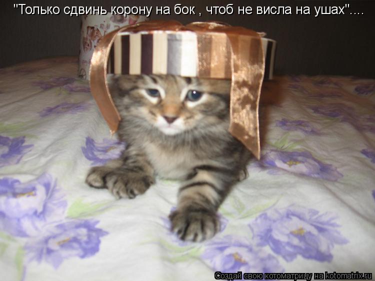 "Только сдвинь корону на бок , чтоб не висла на ушах"....... Котоматрица: "Только сдвинь корону на бок , чтоб не висла на ушах"....