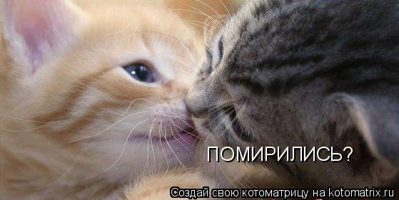ПОМИРИЛИСЬ?... Котоматрица: ПОМИРИЛИСЬ?