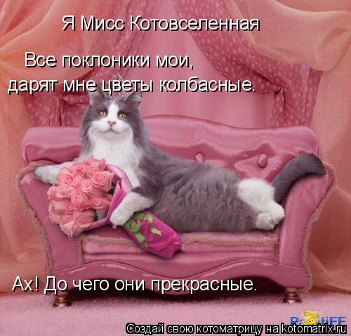 Я Мисс Котовселенная Все поклоники мои, дарят мне цветы колбасные. Ах! До чего они прекрасные.... Котоматрица: Я Мисс Котовселенная Все поклоники мои, дарят мне цветы колбасные. Ах! До чего они прекрасные.