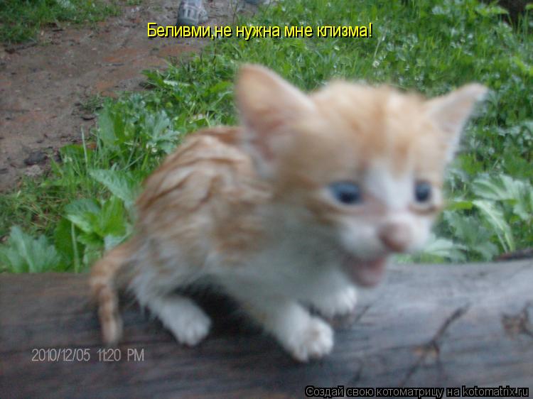 Беливми,не нужна мне клизма!... Котоматрица: Беливми,не нужна мне клизма!