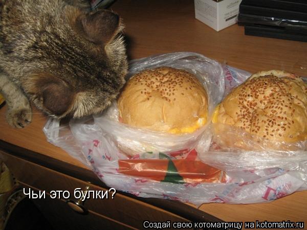 Чьи это булки?... Котоматрица: Чьи это булки?