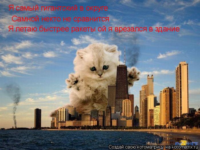 Я самый гигантский в округе Самной некто не сравнится Я летаю быстрее ракеты ой я врезался в здание... Котоматрица: Я самый гигантский в округе Самной некто не сравнится Я летаю быстрее ракеты ой я врезался в здание