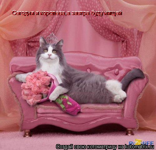 Сегодня я королева,а завтра буду нищей Сегодня я королева,а завтра буду нищей... Котоматрица: Сегодня я королева,а завтра буду нищей Сегодня я королева,а завтра буду нищей