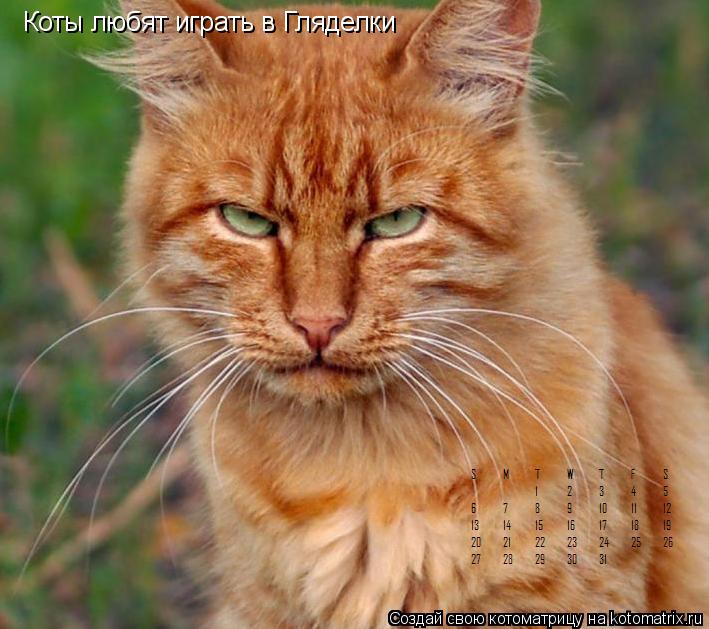 Коты любят играть в Гляделки... Котоматрица: Коты любят играть в Гляделки