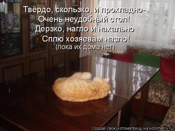 Твёрдо, скользко, и прохладно- Очень неудобный стол! Дерзко, нагло и нахально Сплю хозяевам назло! (п... Котоматрица: Твёрдо, скользко, и прохладно- Очень неудобный стол! Дерзко, нагло и нахально Сплю хозяевам назло! (пока их дома нет)