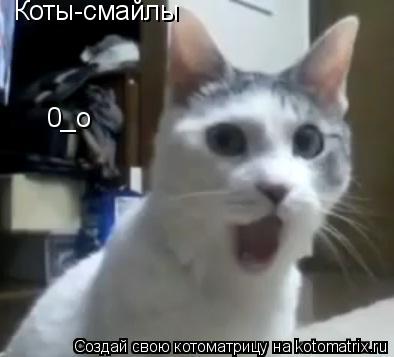Коты-смайлы 0_о... Котоматрица: Коты-смайлы 0_о