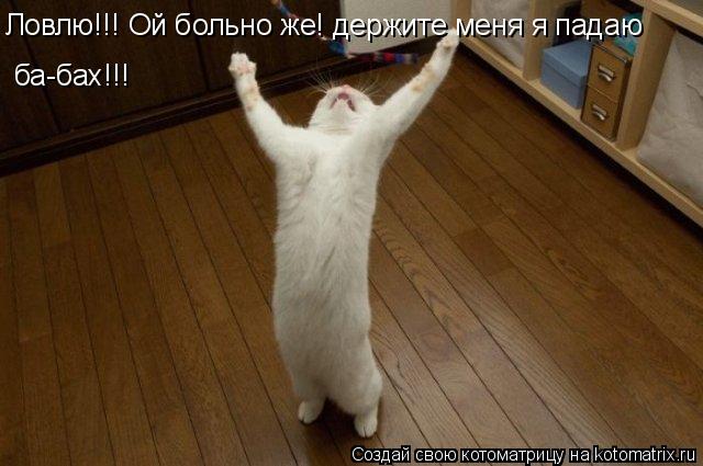 Ловлю!!! Ой больно же! держите меня я падаю ба-бах!!!... Котоматрица: Ловлю!!! Ой больно же! держите меня я падаю ба-бах!!!