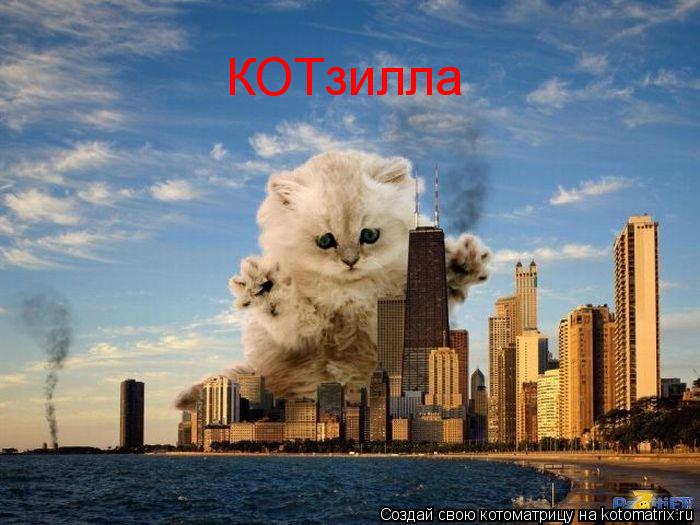 КОТзилла... Котоматрица: КОТзилла