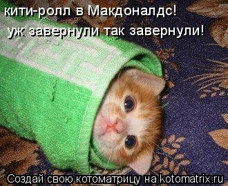 кити-ролл в Макдоналдс! уж завернули так завернули!... Котоматрица: кити-ролл в Макдоналдс! уж завернули так завернули!