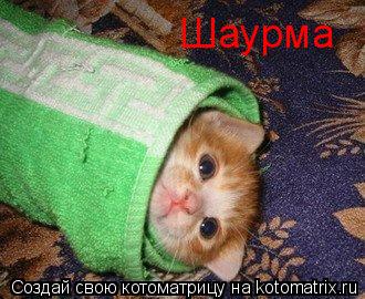 Шаурма... Котоматрица: Шаурма