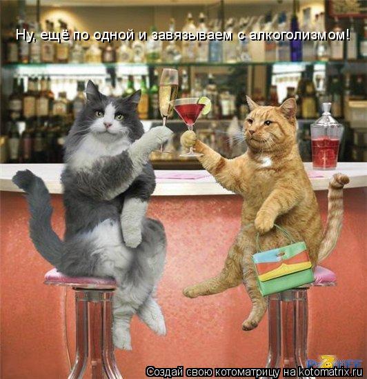 Ну, ещё по одной и завязываем с алкоголизмом!... Котоматрица: Ну, ещё по одной и завязываем с алкоголизмом!