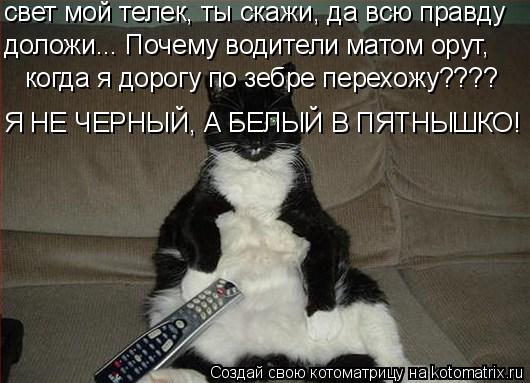 свет мой телек, ты скажи, да всю правду доложи... Почему водители матом орут, когда я дорогу по зебр... Котоматрица: свет мой телек, ты скажи, да всю правду доложи... Почему водители матом орут, когда я дорогу по зебре перехожу???? Я НЕ ЧЕРНЫЙ, А БЕЛЫЙ В ПЯТНЫШК