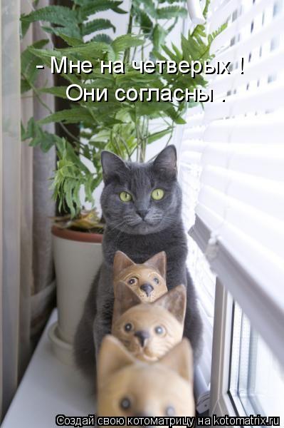Котоматрица: - Мне на четверых ! Они согласны .