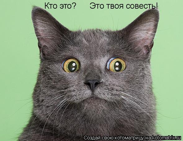 Кто это? Это твоя совесть!... Котоматрица: Кто это? Это твоя совесть!