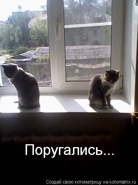 Поругались...... Котоматрица: Поругались...