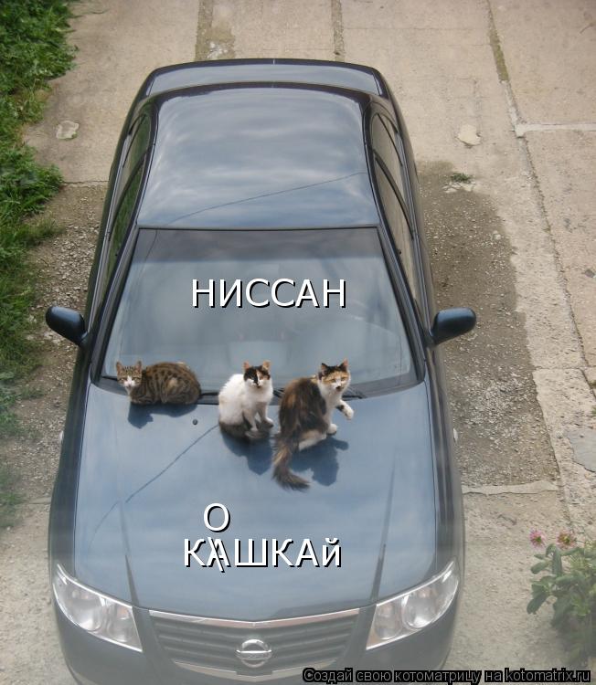Котоматрица: НИССАН КАШКАй \ О