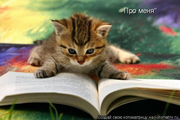 Про меня"... Котоматрица: Про меня"